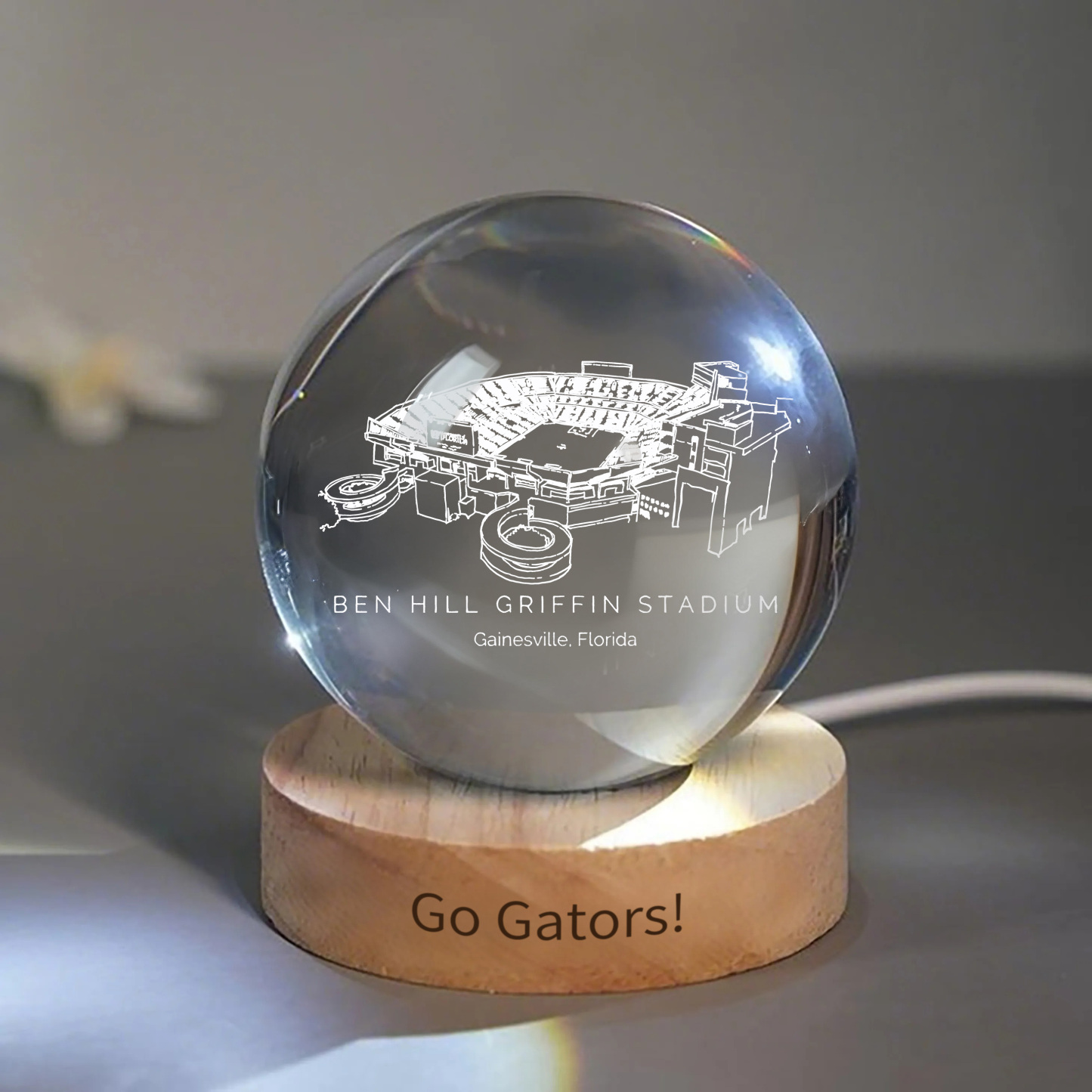 Ben Hill Stadium 3D Spherical Crystal Ball Lamp