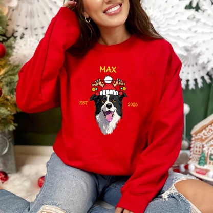 Custom Pet Cartoon Print Sweatshirt - Personalized Dog/Cat Santa Hat Graphic Hoodie