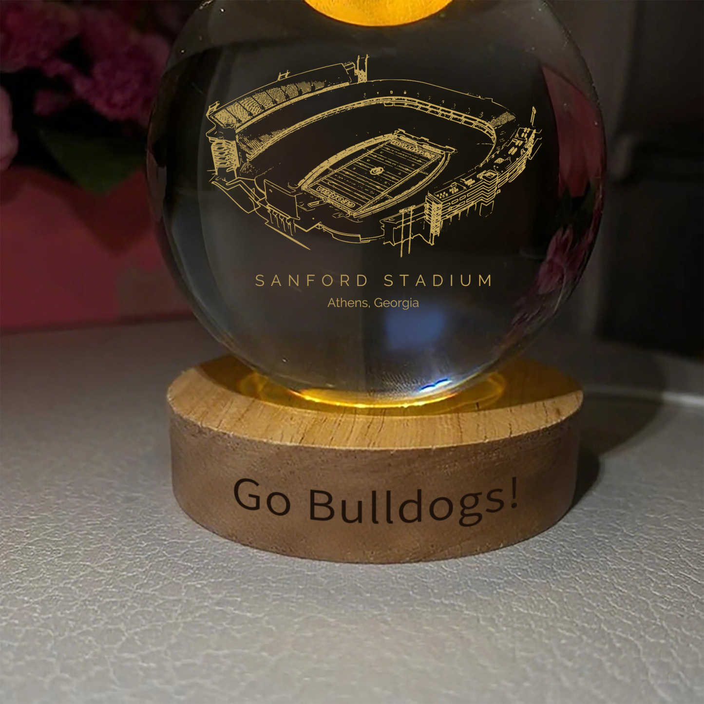 Sanford Stadium 3D Spherical Crystal Ball Lamp