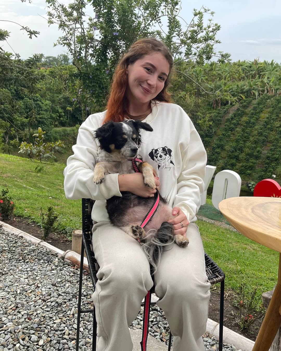 Custom Embroidered Pet Face T-shirt,Personalized hoodie embroidered with multiple pets-forlovever