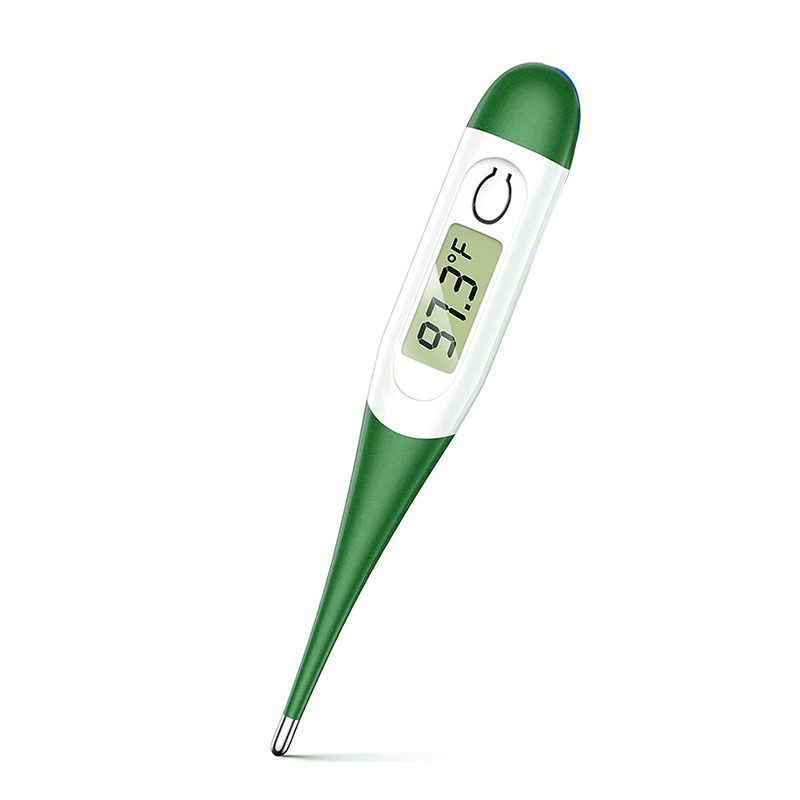 Digital Oral Thermometer