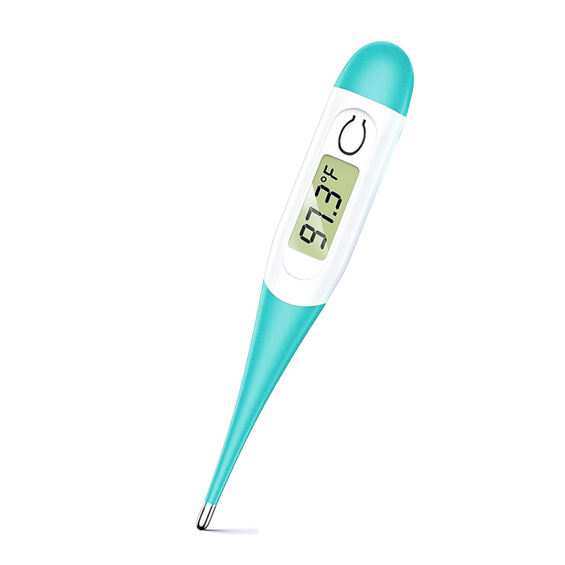 Digital Oral Thermometer