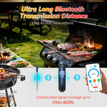 Dual Temperature Smart Meat thermometer