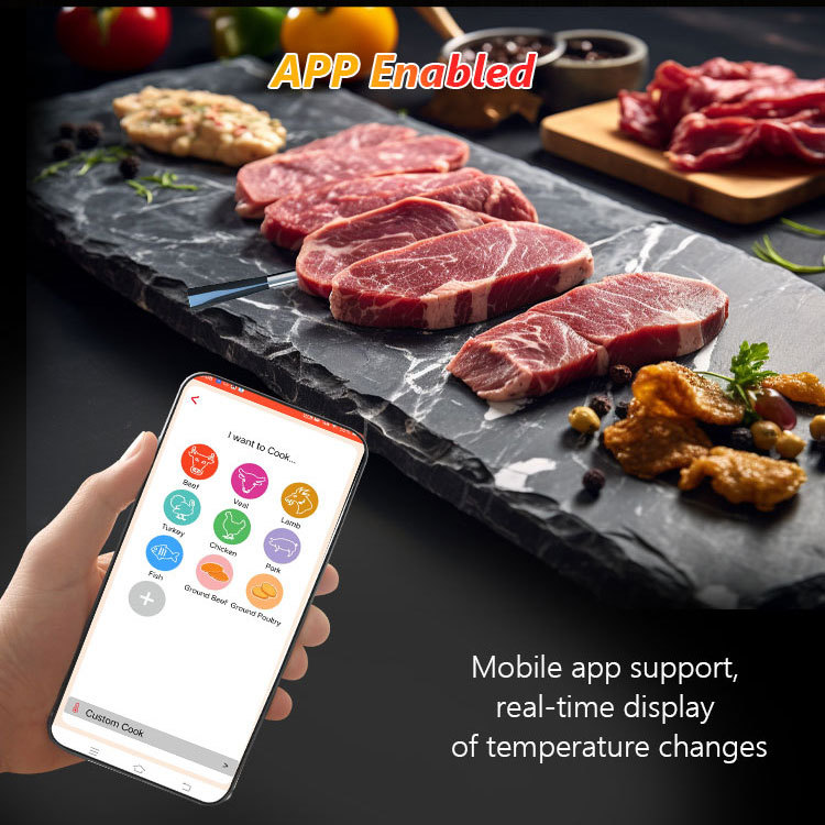 Dual Temperature Smart Meat thermometer