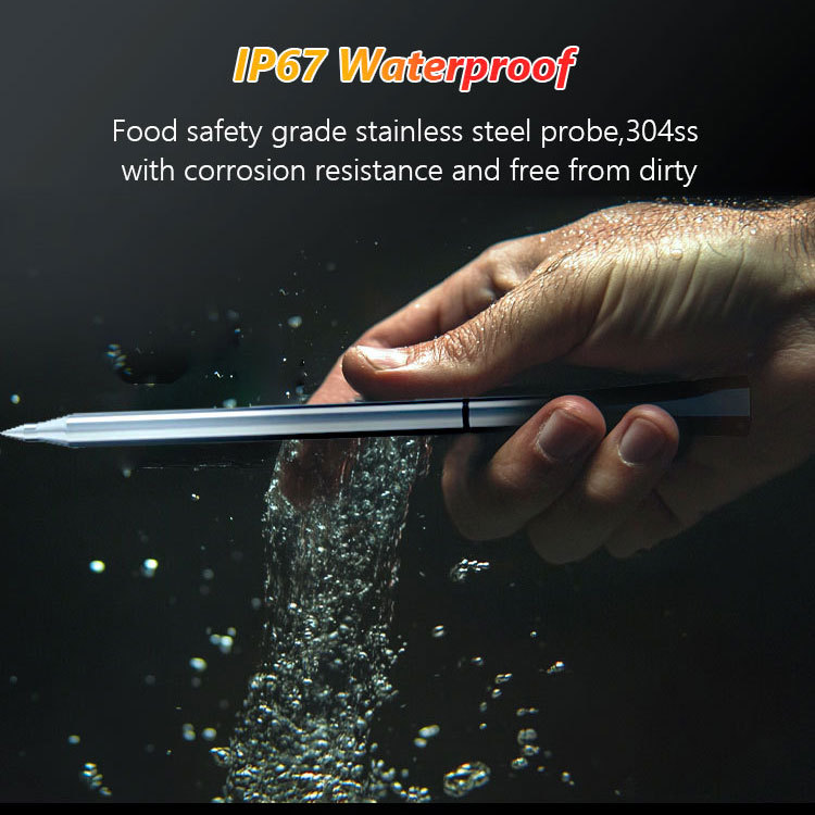 Dual Temperature Smart Meat thermometer