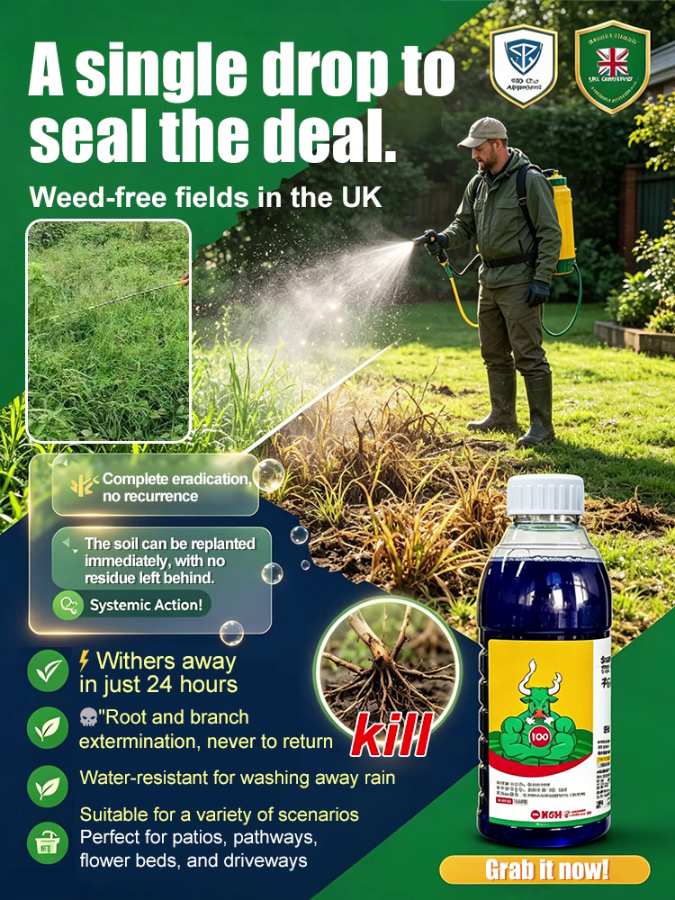 Heavy-Duty Weed Killer: 100% Glyphosate-Free, Root Rot in 7 Days, 5-Year Weed Preventio！n
