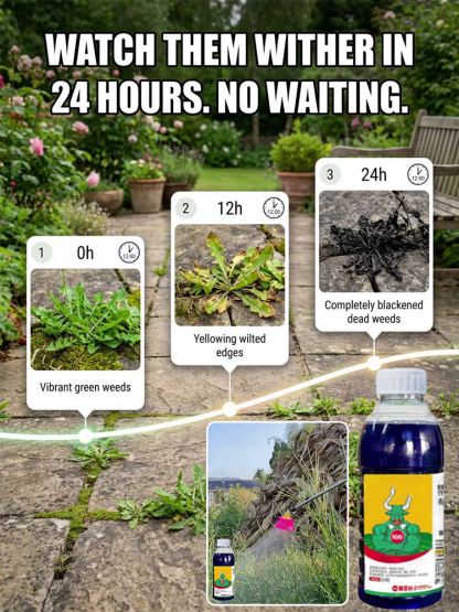 Heavy-Duty Weed Killer: 100% Glyphosate-Free, Root Rot in 7 Days, 5-Year Weed Preventio！n