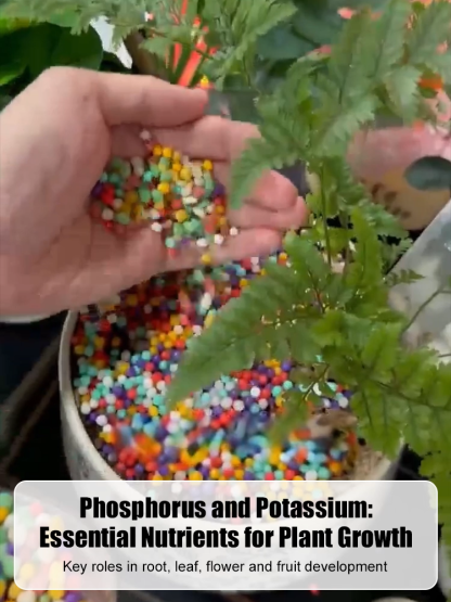 【Flowers Blooming Throughout the Garden】Potassium Hydrogen Phosphate Fertilizer