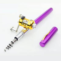 Portable pen fishing rod