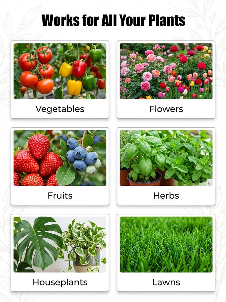 【Flowers Blooming Throughout the Garden】Potassium Hydrogen Phosphate Fertilizer