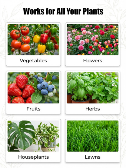 【Flowers Blooming Throughout the Garden】Potassium Hydrogen Phosphate Fertilizer