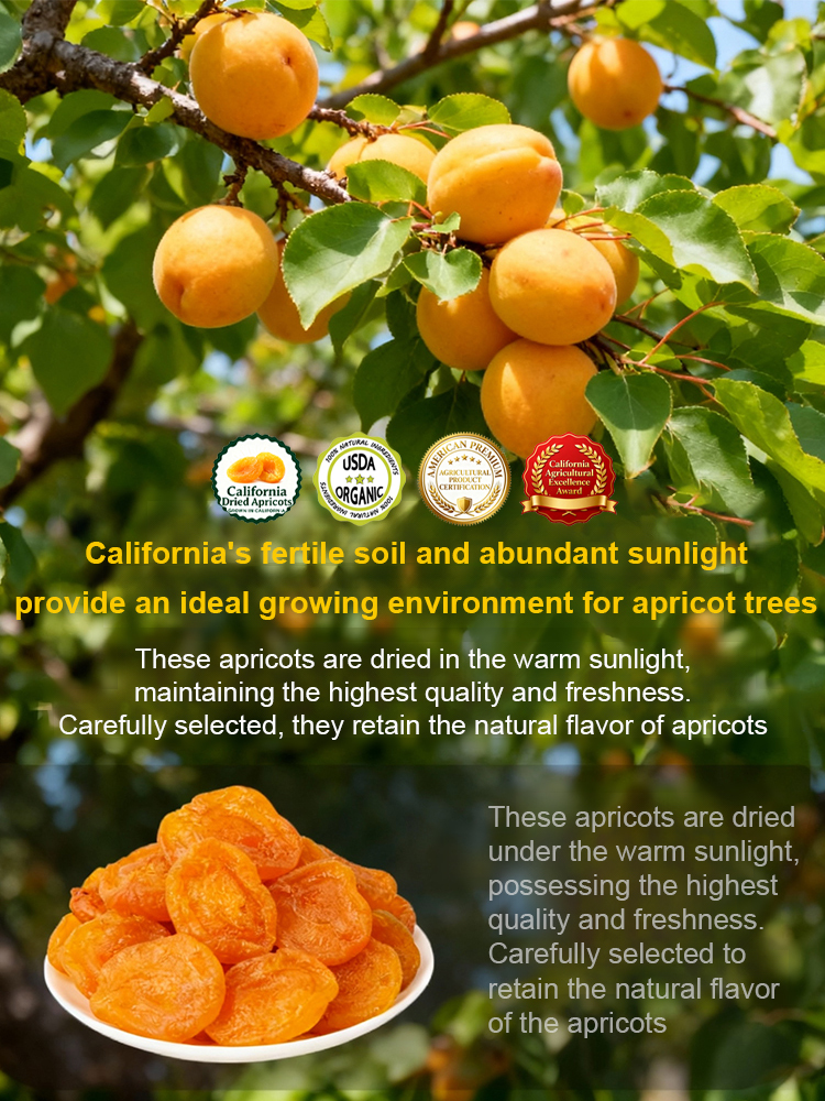 Natural Seedless Golden Apricot Dry from Farm