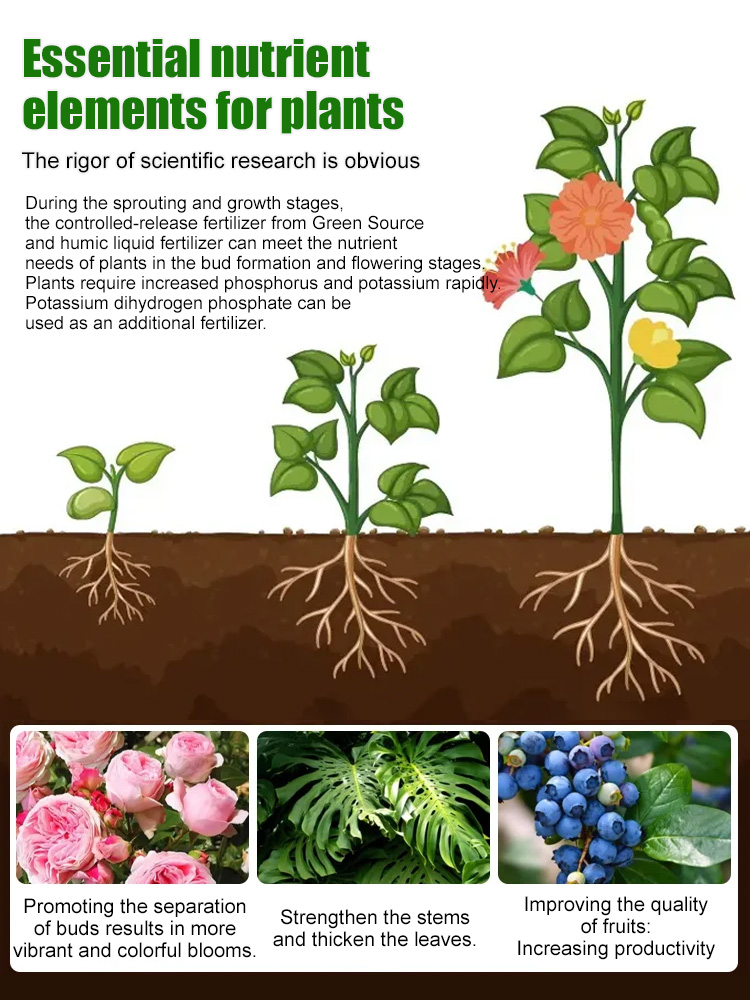 【Flowers Blooming Throughout the Garden】Potassium Hydrogen Phosphate Fertilizer