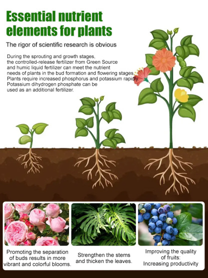 【Flowers Blooming Throughout the Garden】Potassium Hydrogen Phosphate Fertilizer