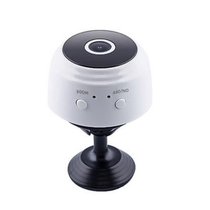 Remote monitoring wireless camera
