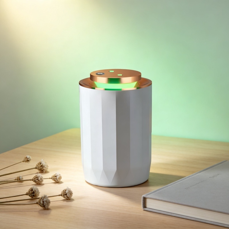 Multifunctional Locomotive-style Humidifier with Aroma Diffuser and Air Purifier