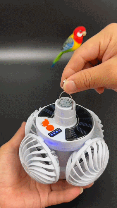 下载 (2)_20250521140809.gif