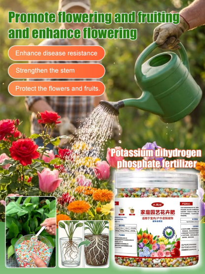【Flowers Blooming Throughout the Garden】Potassium Hydrogen Phosphate Fertilizer