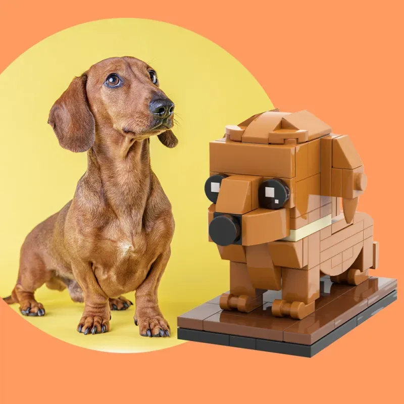 Fully Body Custom Dog Brick Figures, Photo Custom Brick Figures Small Particle Block Brick