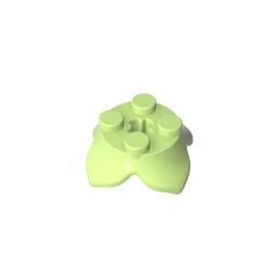 four-leaf petal plant