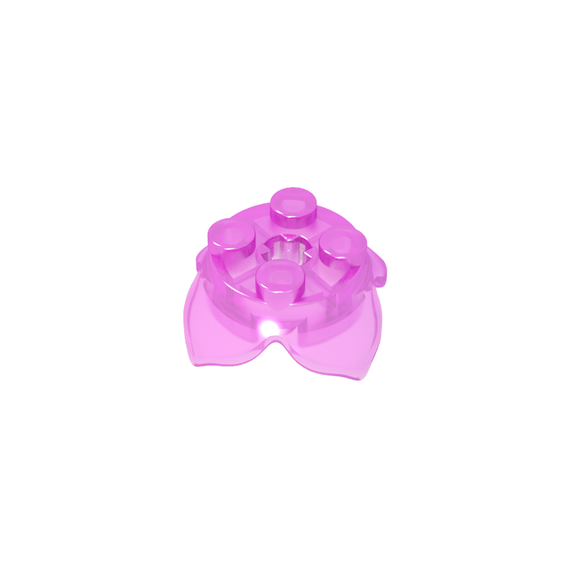 four-leaf petal plant