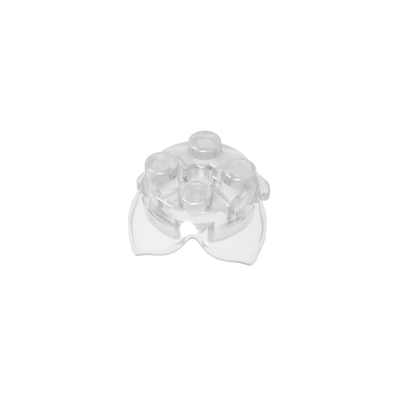 four-leaf petal plant