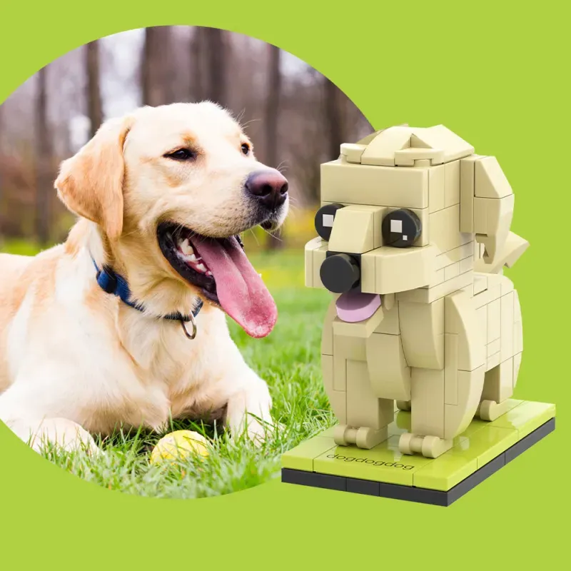 Fully Body Custom Labrador Dog, Photo Custom Brick Figures