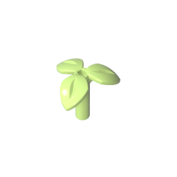 Three Leaves Plant