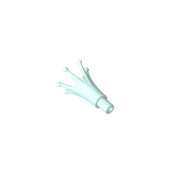 Headwear Accessory Crown Long with Bar