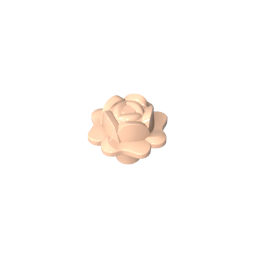 Plant Rose
