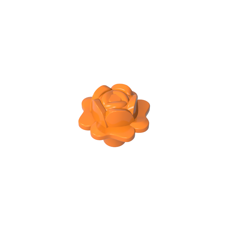 Plant Rose
