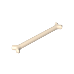 Animal Body Part, Dog Bone [Long]