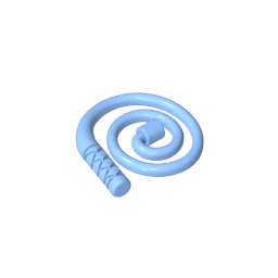 Equipment Whip [Coiled]