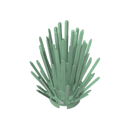 Plant, Bush 2 x 2 x 4