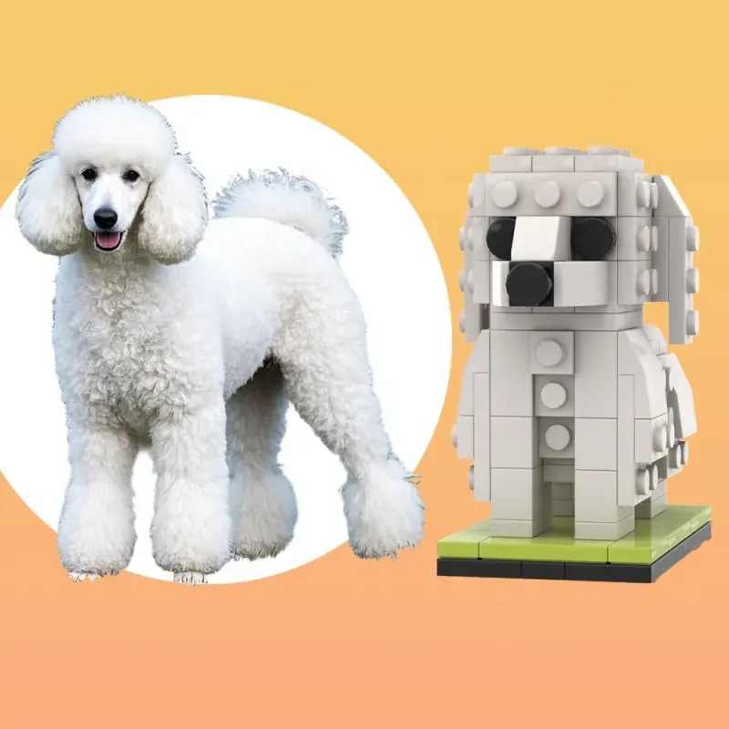 Fully Body Custom Dog Brick Figures, Photo Custom Brick Figures Small Particle Block Brick