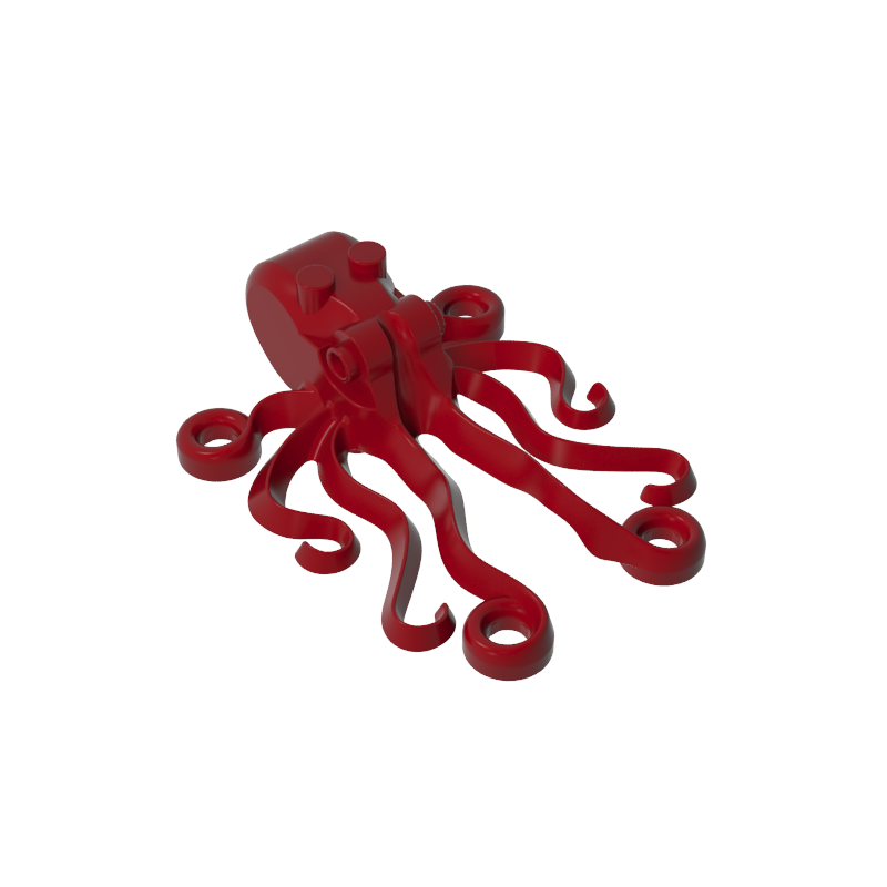 Octopus Octopus