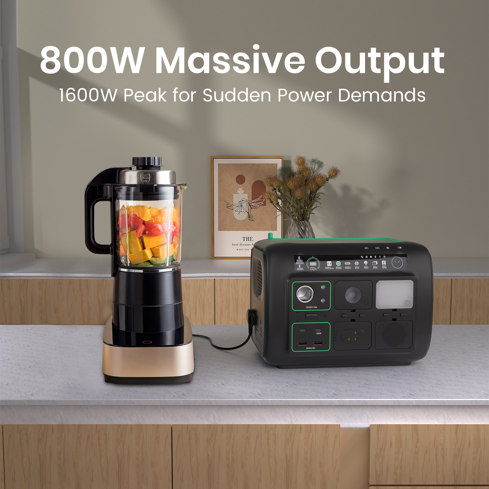 Njoynook Portable Power Station 800W Output 512WH