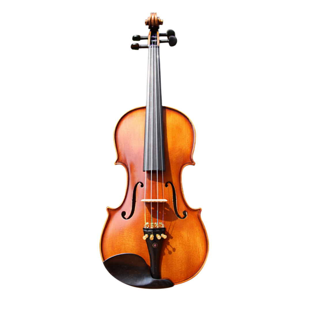 Beginner Violin Set with Case--Student Violin for Kids/Adults