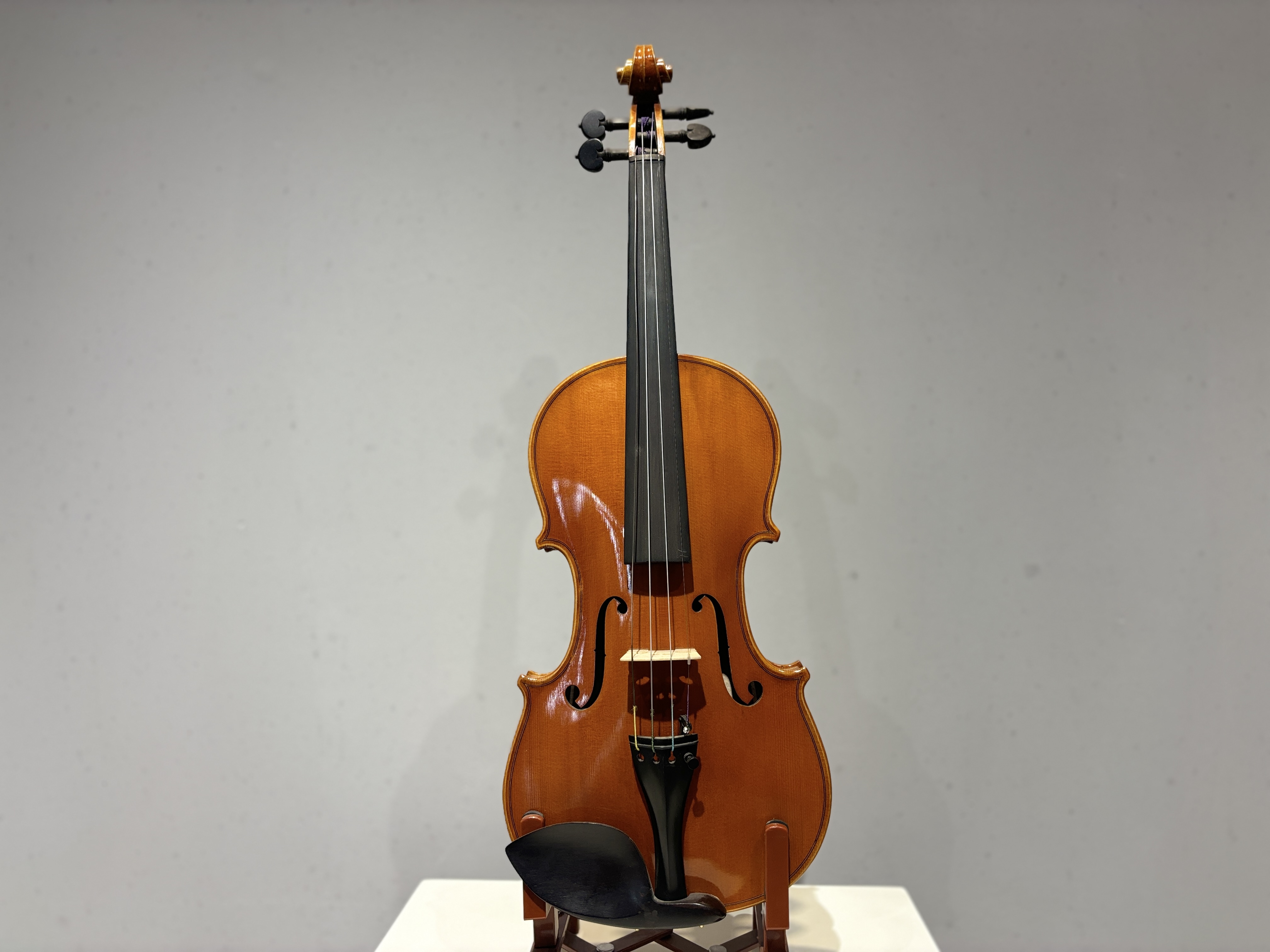 D E - PS01  Performance  Violin Outfit