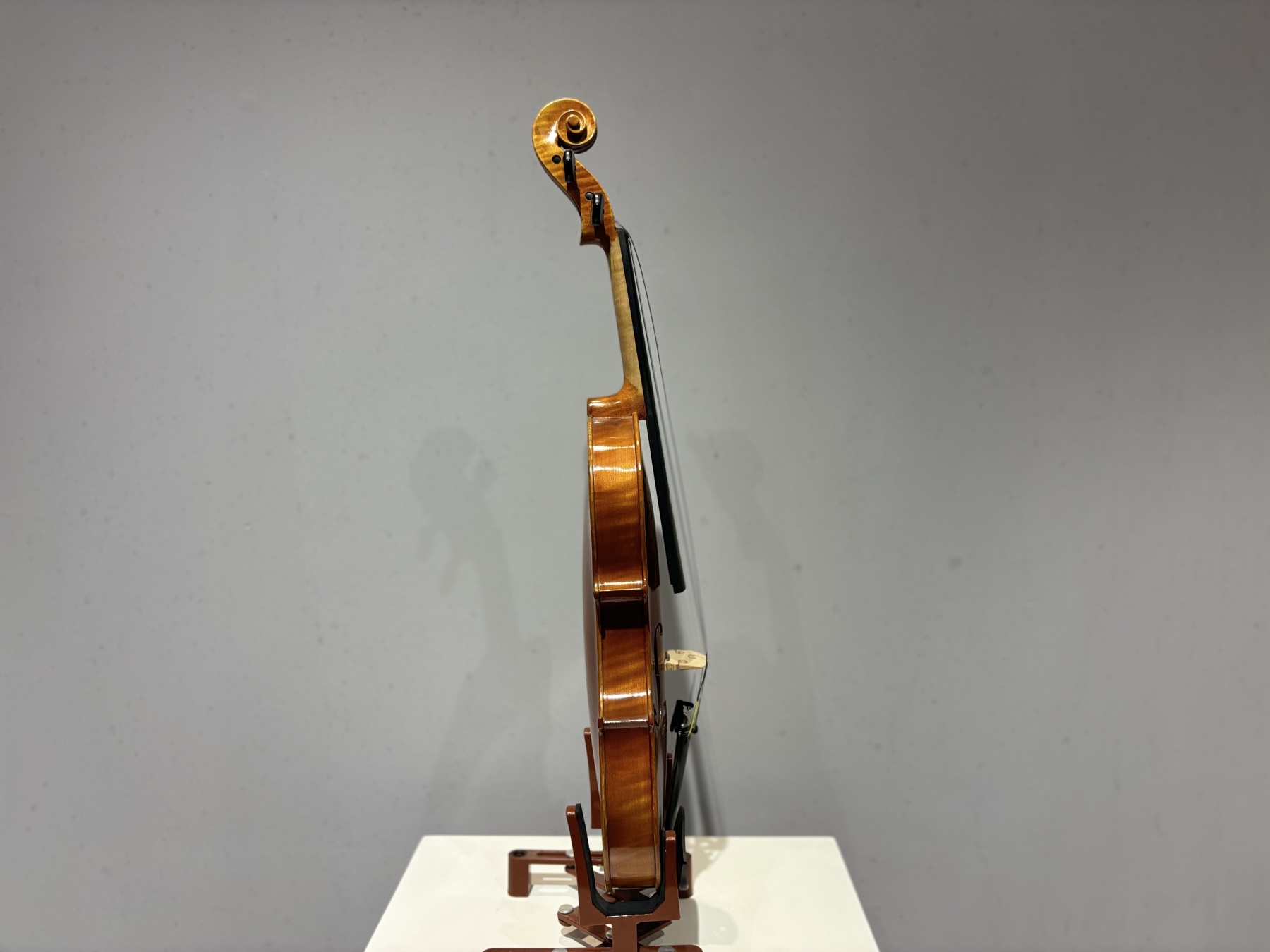 D E - PS01  Performance  Violin Outfit