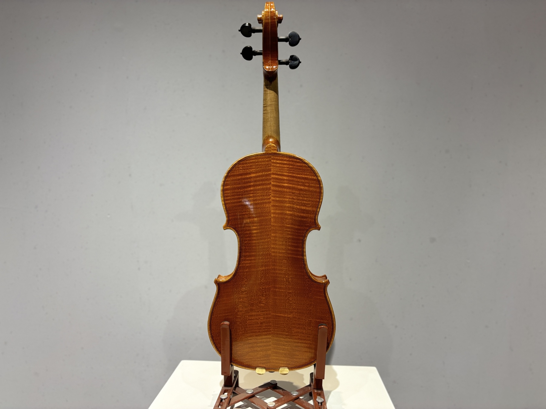 D E - PS01  Performance  Violin Outfit