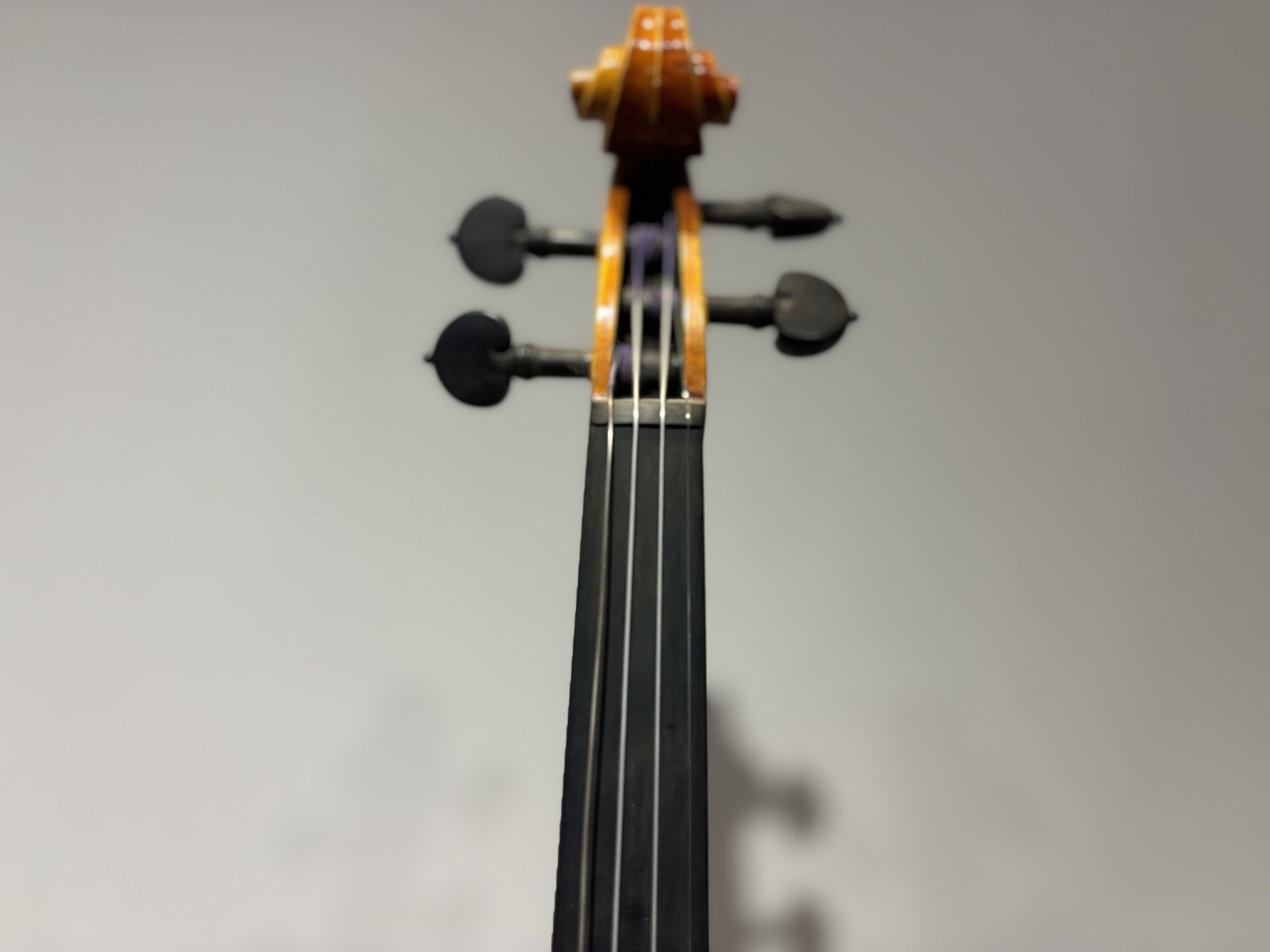 D E - PS01  Performance  Violin Outfit