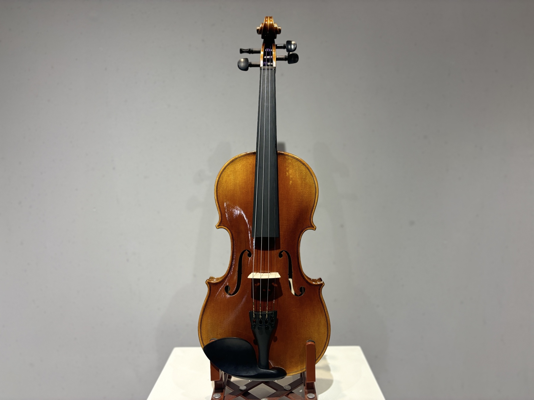 D E - CS02 Violin Outfit