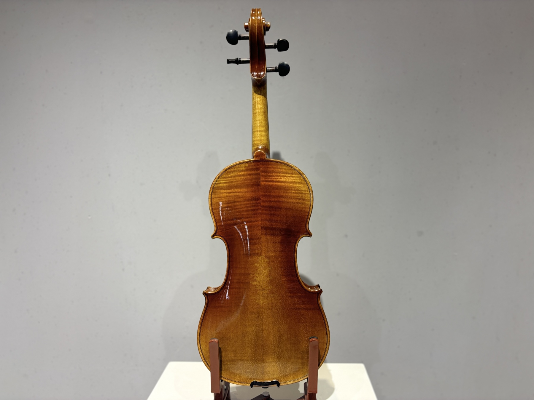 D E - CS02 Violin Outfit