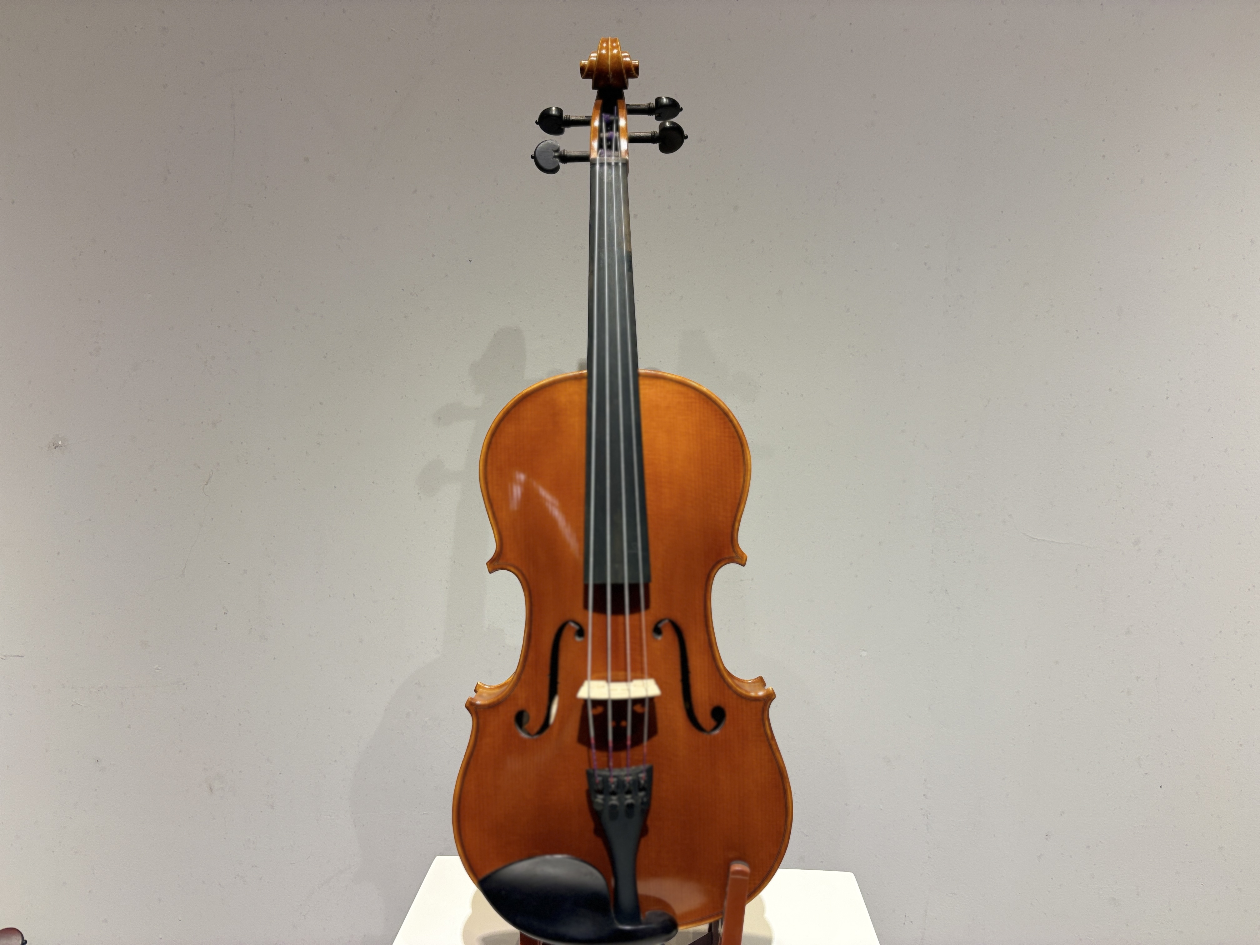 D E - PS02  Performance  Violin Outfit