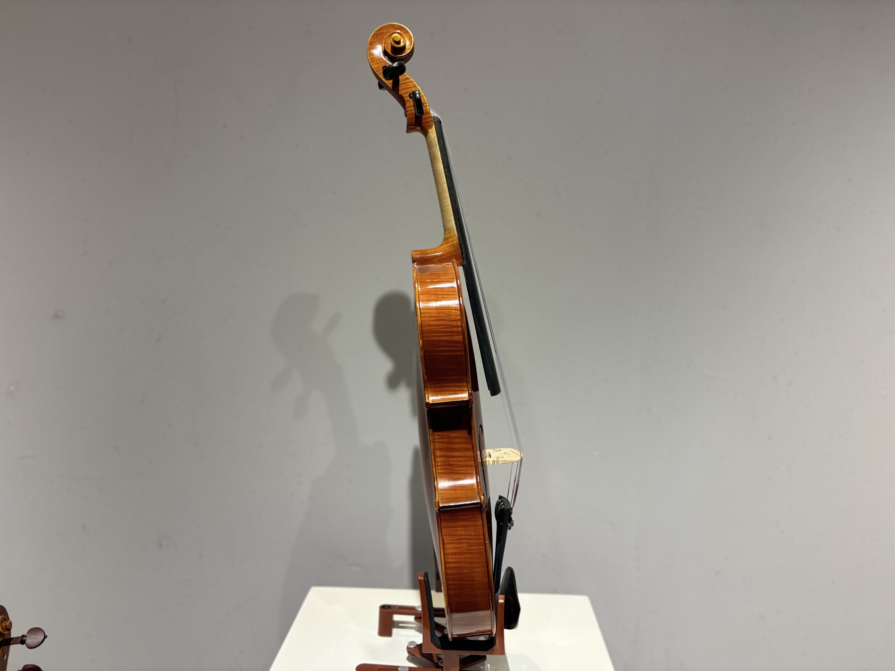 D E - PS02  Performance  Violin Outfit