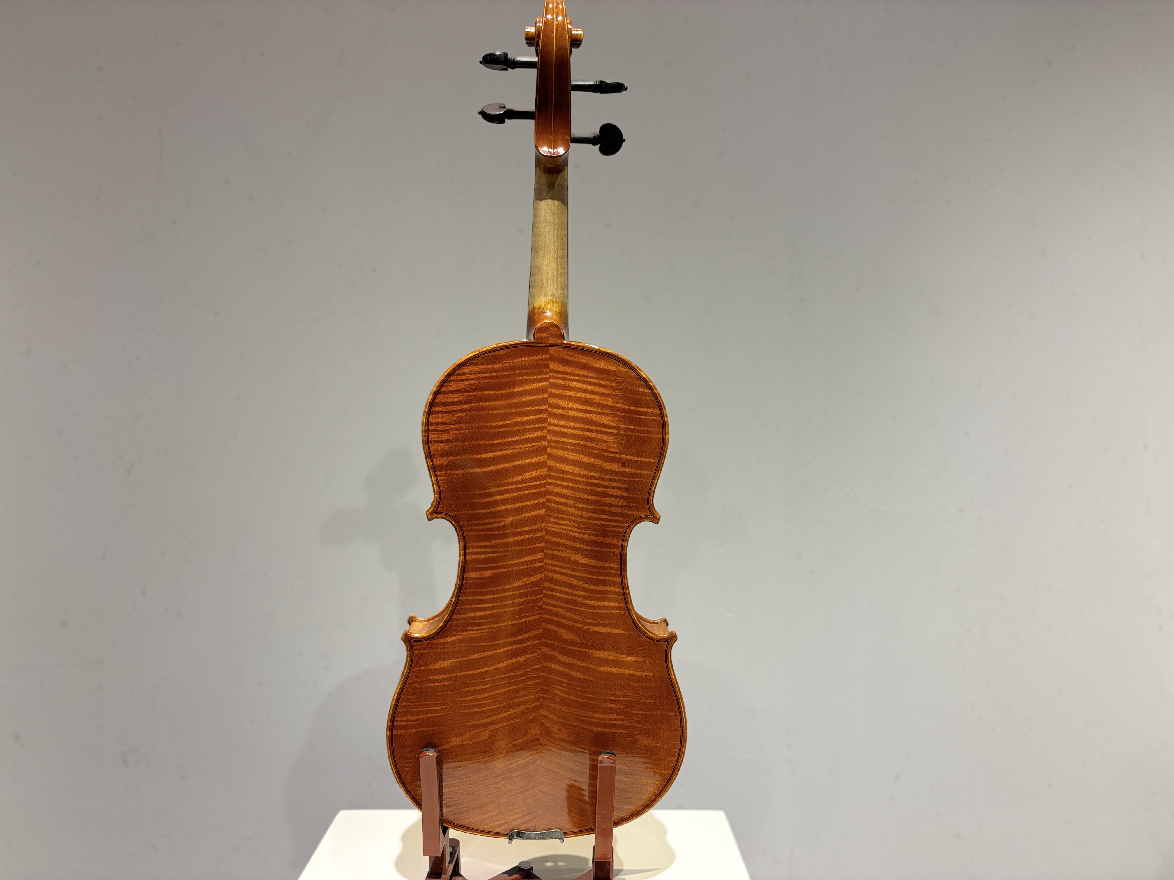 D E - PS02  Performance  Violin Outfit