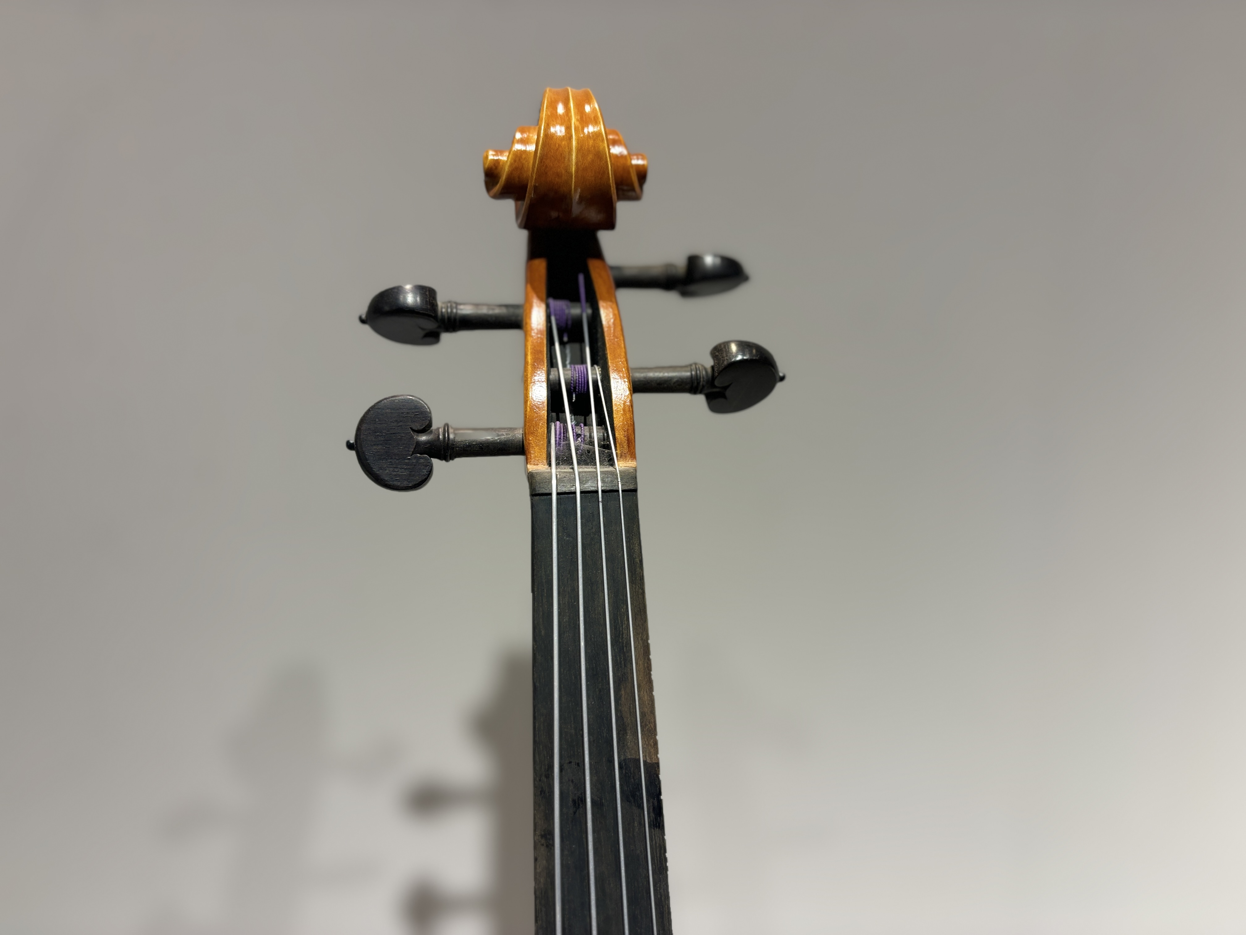 D E - PS02  Performance  Violin Outfit