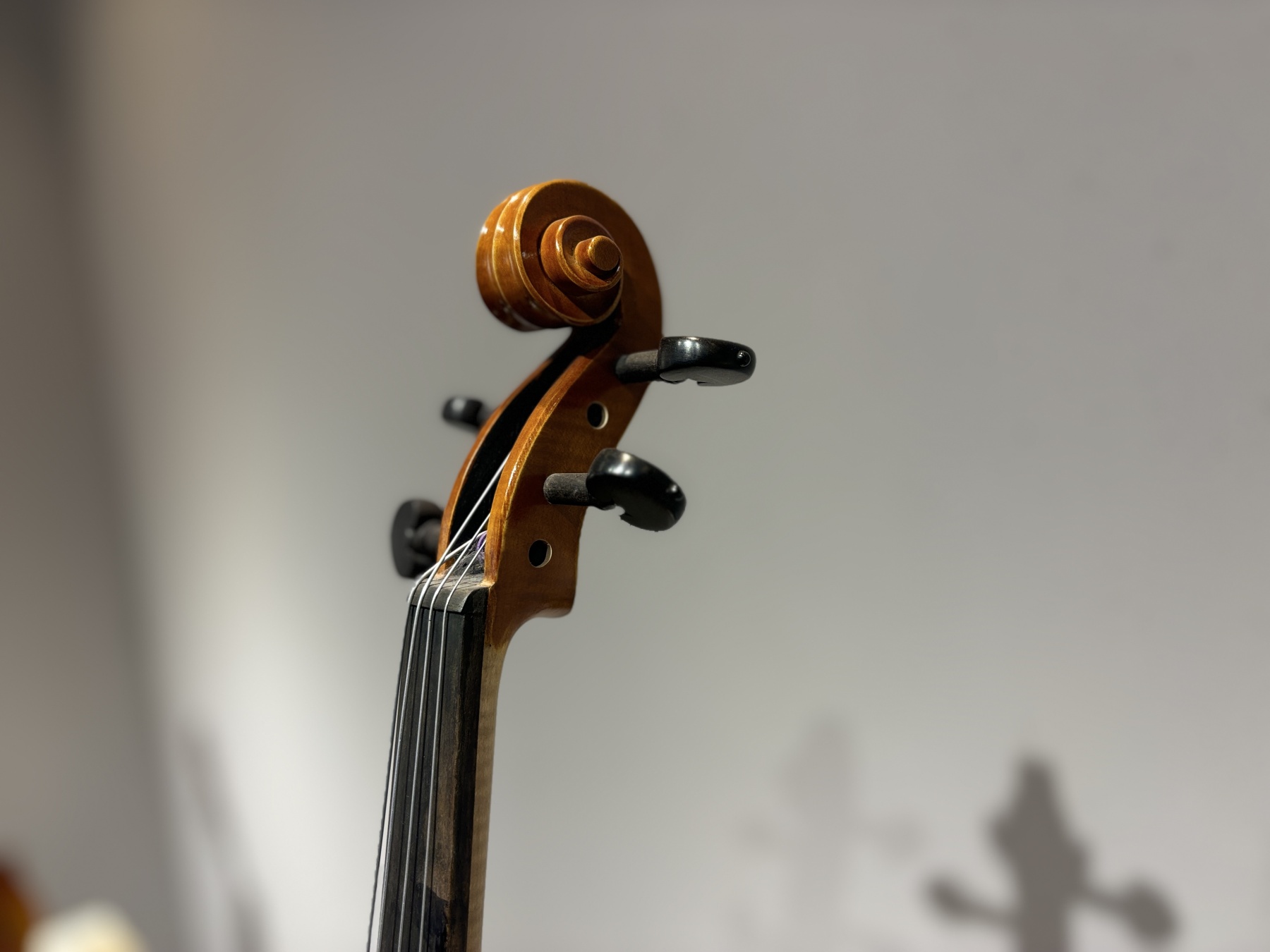 D E - PS02  Performance  Violin Outfit