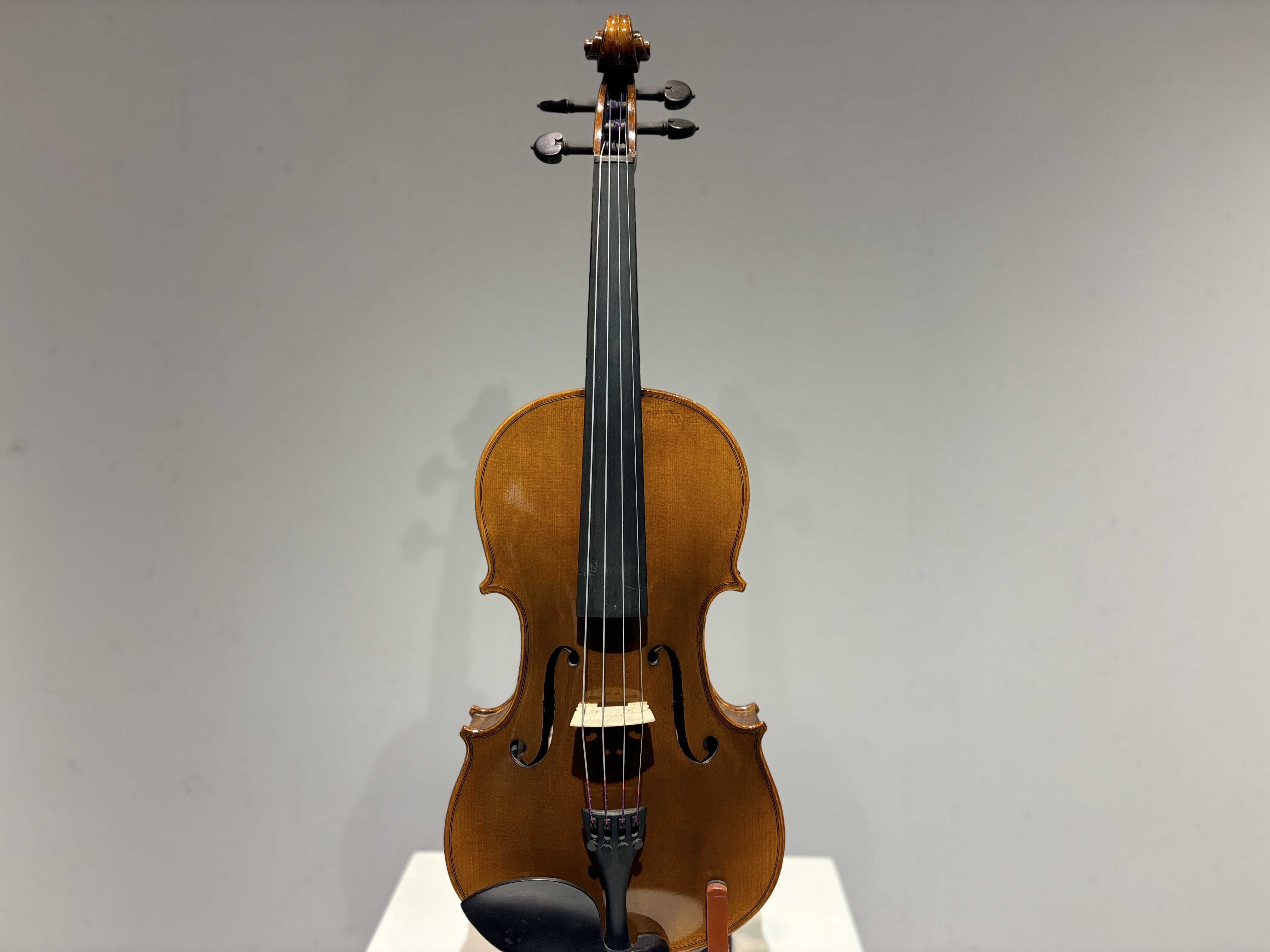 D E - PS04  Performance  Violin Outfit